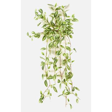 Konstväxt Tradescantia zebrina DIHALLO på stödpinne, hängande, grön-vit, 70cm