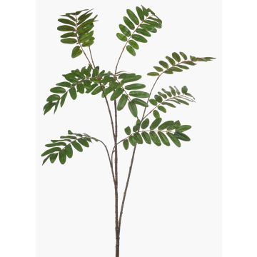 Dekorativ gren i mahogny MANIESA, grön, 150cm Dekorativ gren i mahogny MANIESA, grön, 150cm