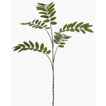 Dekorativ gren mahogny MANIESA, grön, 105cm Dekorativ gren mahogny MANIESA, grön, 105cm