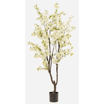 Konstgjord körsbärsblomstrande träd JANKFUN med blommor, konstgjord stam, vit, 210cm