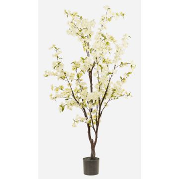 Konstgjord körsbärsblomstrande träd JANKFUN med blommor, konstgjord stam, vit, 175cm Konstgjord körsbärsblomstrande träd JANKFUN med blommor, konstgjord stam, vit, 175cm