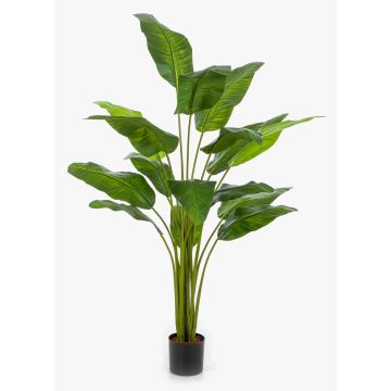 Konstgjord resenärsträd COSINO, 170cm Konstgjord resenärsträd COSINO, 170cm