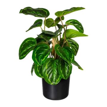 Konstgjord växt Calathea Medaillon STRAHN, grön, 45cm