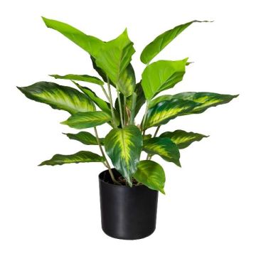 Konstgjord växt Dieffenbachia PLUHON, rötter, mörkgrön, 45cm