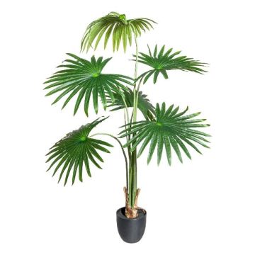 Konstgjord palm Washingtonia FENHAL i dekorativ kruka, 120cm Konstgjord palm Washingtonia FENHAL i dekorativ kruka, 120cm