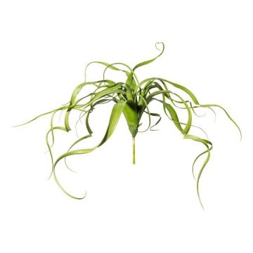 Konstgjord suckulent Tillandsia streptophylla KRIFT, på stativ, grön, 65cm Konstgjord suckulent Tillandsia streptophylla KRIFT, på stativ, grön, 65cm