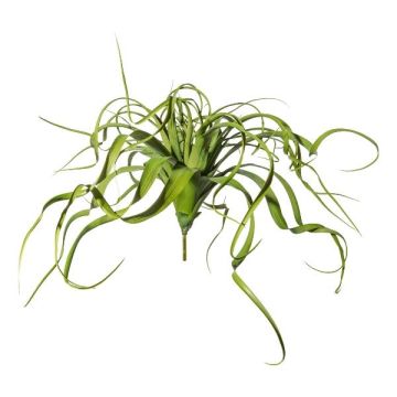 Konstgjord suckulent Tillandsia streptophylla KRIFT, på pinne, grön, 70cm Konstgjord suckulent Tillandsia streptophylla KRIFT, på pinne, grön, 70cm