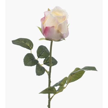 Konstgjord ros DIXLEN, vit-rosa, 70cm, Ø7cm