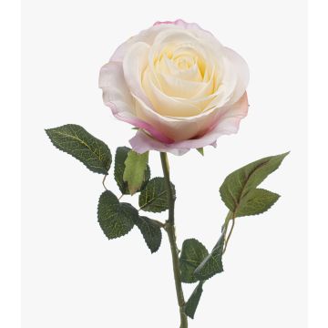 Konstgjord ros BRUNETTE, vit-rosa, 70cm, Ø11cm