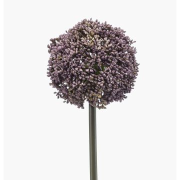 Konstgjord allium TUXLON, lila, 75cm Konstgjord allium TUXLON, lila, 75cm