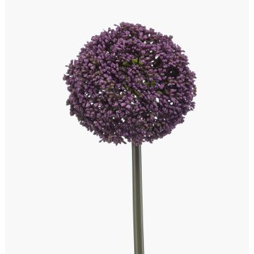 Konstgjord allium TUXLON, mörklila, 75cm Konstgjord allium TUXLON, mörklila, 75cm