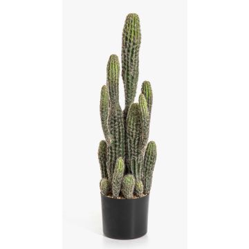 Konstgjord kaktus San Pedro FARIN, grön, 75cm Konstgjord kaktus San Pedro FARIN, grön, 75cm