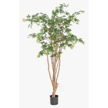 Konstgjord japansk lönn ILIANU, äkta stammar, grön, 180cm Konstgjord japansk lönn ILIANU, äkta stammar, grön, 180cm