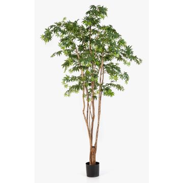 Konstväxt japansk lönn ILIANU, äkta stammar, grön, 240cm