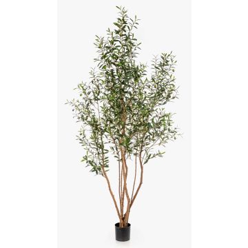 Konstgjord olivträd JALO med frukter, äkta stam, grön, 220cm
