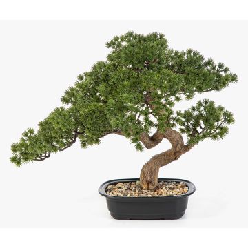 Konstgjord bonsai-tall KANYA i planteringsskål, 45cm
