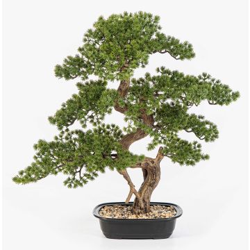 Konstgjord bonsai-tall KANYA i planteringsskål, 70cm