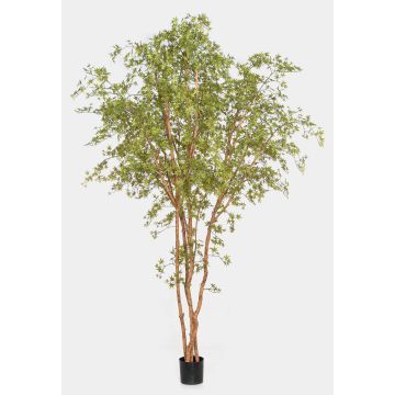 Konstväxt japansk lönn ZEDRIC, äkta stam, grön, 330cm