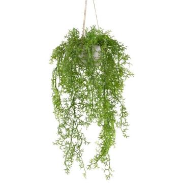 Dekorativ hängande mossormbunk KLUHER, cementkruka, grön, 90cm