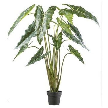Konstväxt Alocasia Sanderiana NARLO, dekorativ kruka, grön, 160cm Konstväxt Alocasia Sanderiana NARLO, dekorativ kruka, grön, 160cm