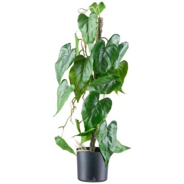 Konstväxt Flamingoblomma TROMLEN, luftrötter, grön, 65cm Konstväxt Flamingoblomma TROMLEN, luftrötter, grön, 65cm