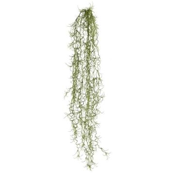 Konstgjord suckulent Tillandsia usneoides BLIMFY, sticka, hängande, mörkgrön, 80cm
