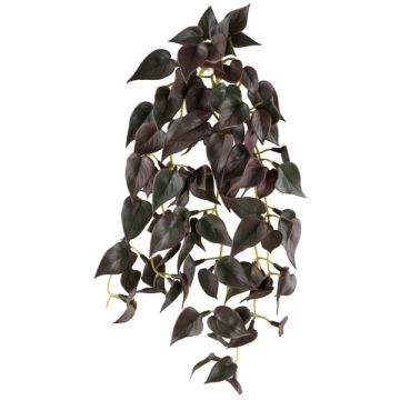 Dekorativ hängväxt, färgglad nässla JURJYS, sticka, vinröd, 30cm