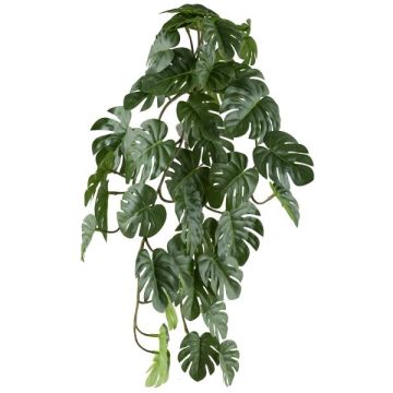Dekorativ hängande växt Philodendron monstera deliciosa TRANE, på pinne, 50cm Dekorativ hängande växt Philodendron monstera deliciosa TRANE, på pinne, 50cm