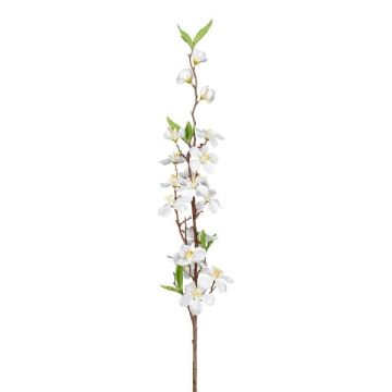 Dekorativ äppelblomskvist KROVER med blommor, vit, 80cm, Ø3-5cm Dekorativ äppelblomskvist KROVER med blommor, vit, 80cm, Ø3-5cm