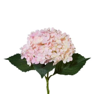 Konstgjord hortensia ZURTO, ljusrosa, 55cm Konstgjord hortensia ZURTO, ljusrosa, 55cm