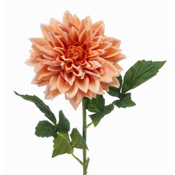 Konstblomma dahlia ZELRAN, aprikos, 70cm, Ø15cm Konstblomma dahlia ZELRAN, aprikos, 70cm, Ø15cm