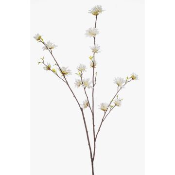 Dekorativ kvist av trollhassel ZAVNER med blommor, vit, 110cm