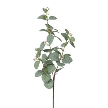 Dekorativ kvist av eukalyptus PLAVEN med blommor, grön, 70cm