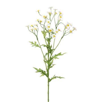 Dekorativ kvist kamomill GRUHEL, vit, 60cm, Ø2cm Dekorativ kvist kamomill GRUHEL, vit, 60cm, Ø2cm