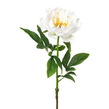 Konstblomma, pion PEFIN, vit, 50cm