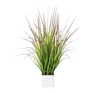 Konstgjort japanskt blodgräs SANZA i dekorativ kruka, grön-röd, 75cm