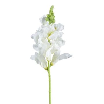 Konstblomma lejonmun SIRKALE, vit, 40cm, Ø11cm Konstblomma lejonmun SIRKALE, vit, 40cm, Ø11cm