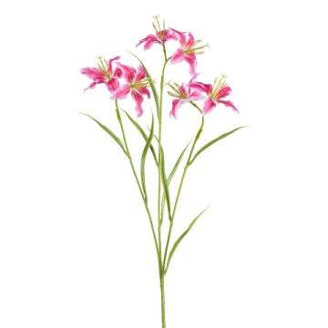 Konstgjord liljekvist PLOMIX, cerise-vit, 65cm, Ø8cm Konstgjord liljekvist PLOMIX, cerise-vit, 65cm, Ø8cm