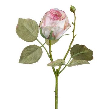 Konstblomma ros ZORKLIN, rosa-krämfärgad, 45cm, Ø6,5cm Konstblomma ros ZORKLIN, rosa-krämfärgad, 45cm, Ø6,5cm