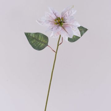 Sammet, konstgjord julstjärna LIBASSE, vit-rosa, 45cm Sammet, konstgjord julstjärna LIBASSE, vit-rosa, 45cm
