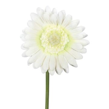 Konstgjord blomma Gerbera TUNZA, krämfärgad, 50cm