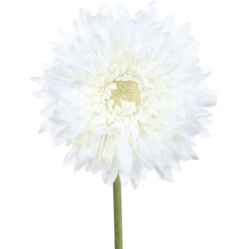 Konstgjord blomma, gerbera MOLZA, vit, 60cm