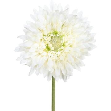 Konstgjord blomma, gerbera MOLZA, krämfärgad, 60cm