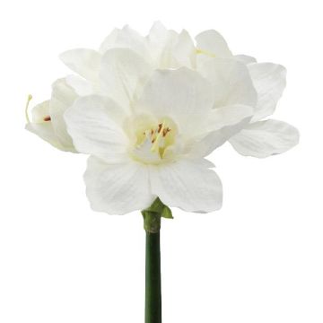 Konstgjord blomma Amaryllis WELBA, vit, 65cm Konstgjord blomma Amaryllis WELBA, vit, 65cm