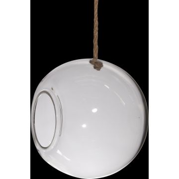 Glaskula-terrarium FARO med snöre, klart, 25cm, Ø25cm Glaskula-terrarium FARO med snöre, klart, 25cm, Ø25cm