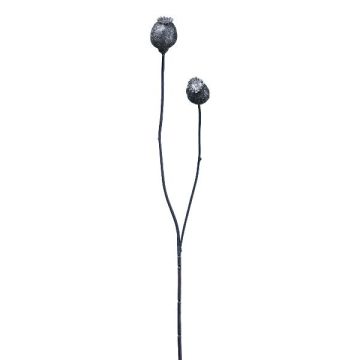 Dekorativ kvist med vallmofrökapslar ORIONLA, mörkblå, 65cm, Ø3,5-4cm