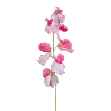 Konstgjord blomma Lathyrus latifolius TERRAT, rosa, 50cm Konstgjord blomma Lathyrus latifolius TERRAT, rosa, 50cm
