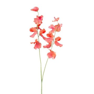 Konstgjord kvist Lathyrus latifolius TERRAT, laxfärgad, 90cm Konstgjord kvist Lathyrus latifolius TERRAT, laxfärgad, 90cm