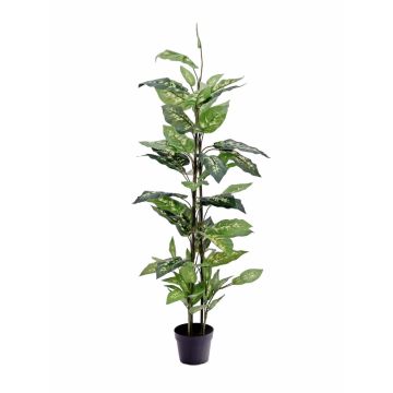 Konstgjord Dieffenbachia DANY, grön-vit, 120cm
