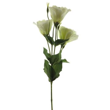 Konstgjord lisianthus ALARONA, krämfärgad, 55cm, Ø6-8cm Konstgjord lisianthus ALARONA, krämfärgad, 55cm, Ø6-8cm